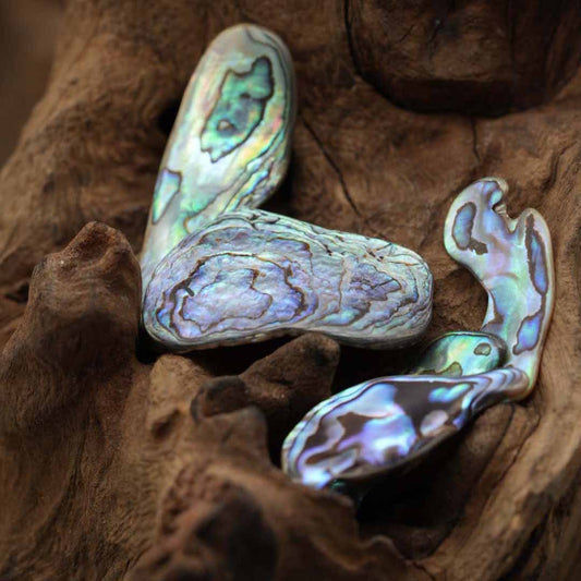 Abalone "Paua Shell" Trommelstein