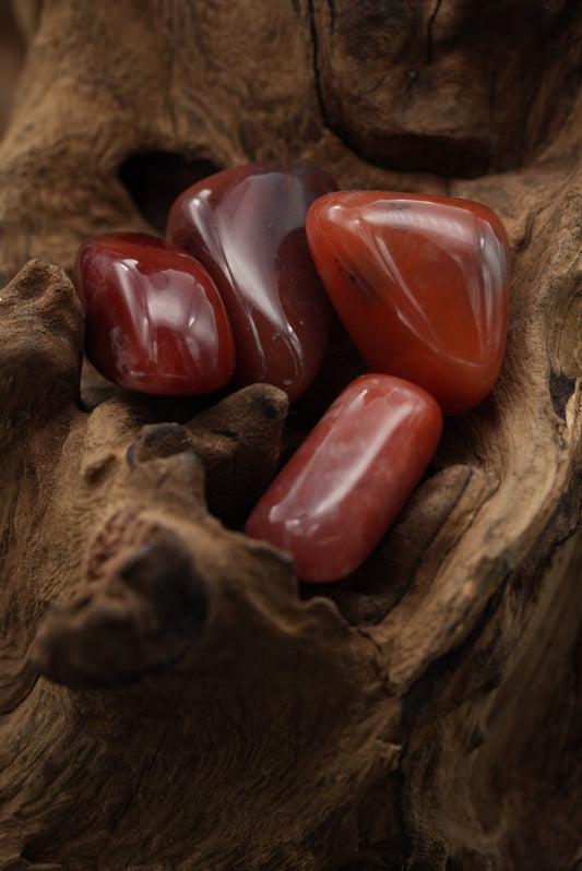 Chalcedon rot der Kategorie Trommelsteine